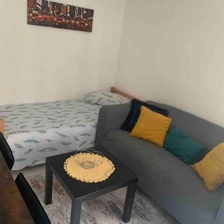 Dijon: Superbe Appartement En Hyper Centre Bagian luar foto