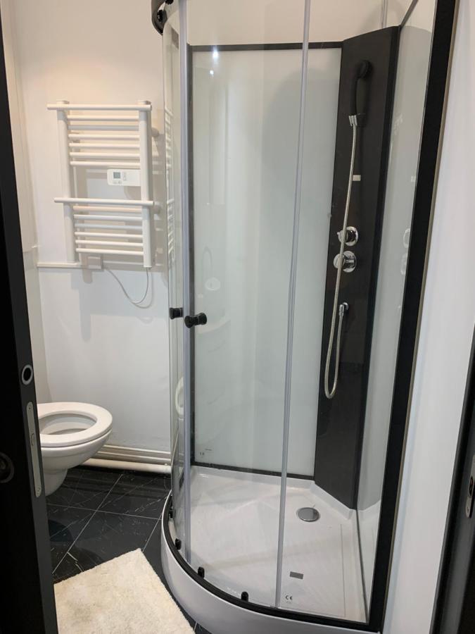 Dijon: Superbe Appartement En Hyper Centre Bagian luar foto